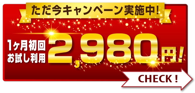初回お試しキャンペーン