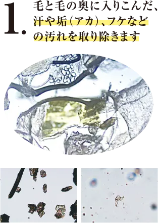 毛と毛の奥に入り込んだ、汗や垢(アカ)、フケなどの汚れを取り除きます