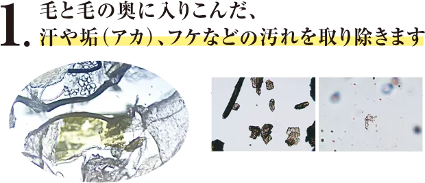 毛と毛の奥に入り込んだ、汗や垢(アカ)、フケなどの汚れを取り除きます