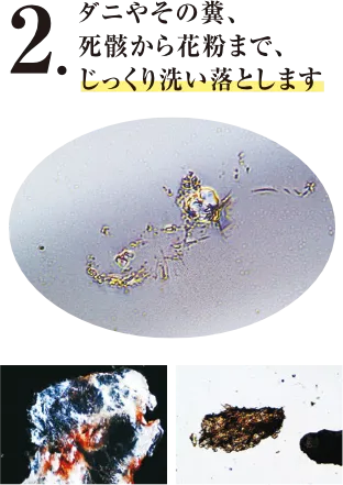 毛と毛の奥に入り込んだ、汗や垢(アカ)、フケなどの汚れを取り除きます