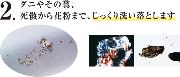 毛と毛の奥に入り込んだ、汗や垢(アカ)、フケなどの汚れを取り除きます