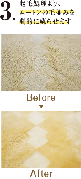 毛と毛の奥に入り込んだ、汗や垢(アカ)、フケなどの汚れを取り除きます