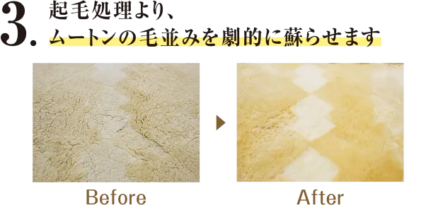 毛と毛の奥に入り込んだ、汗や垢(アカ)、フケなどの汚れを取り除きます