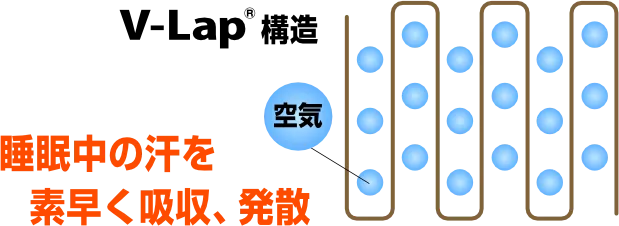 V-lap構造　睡眠中の汗を素早く吸収、発散